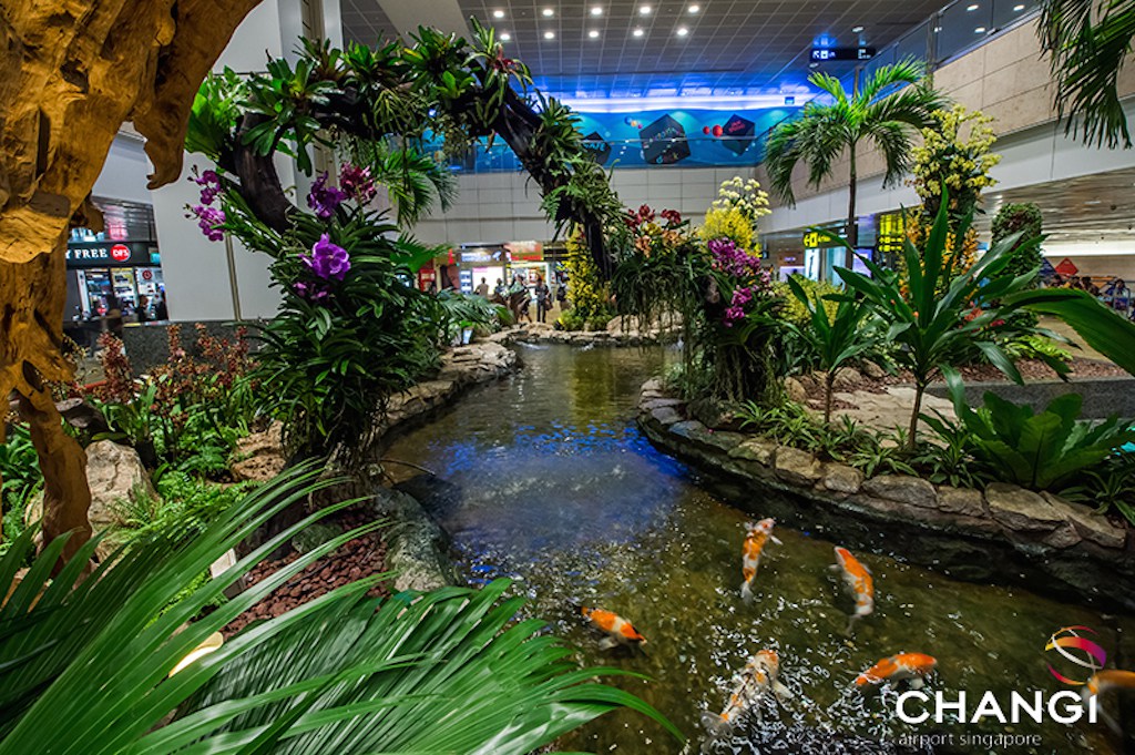 Terminal 2 - Transit - Orchid Garden (Koi Pond)