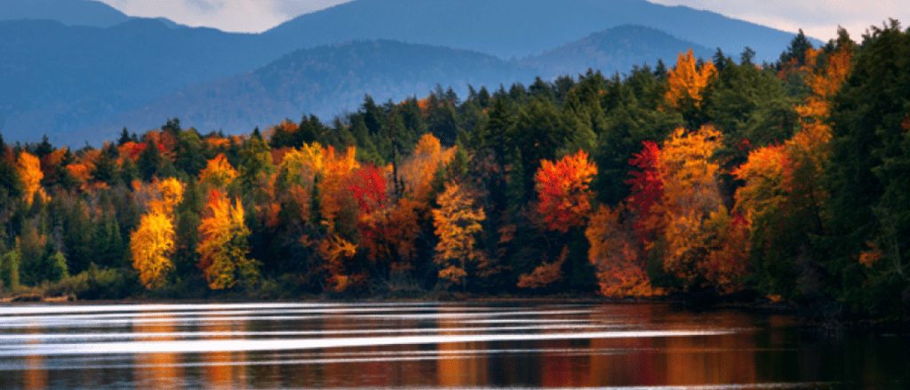 a lake with trees and mountains in the background