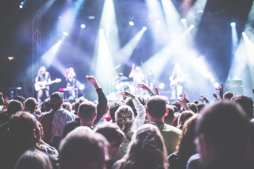 a crowd of people at a concert