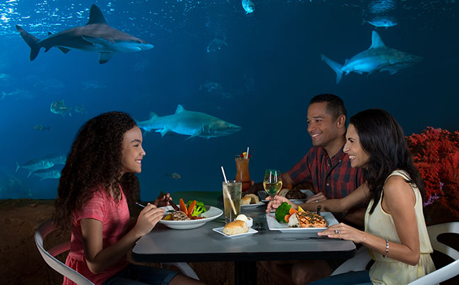 a group of people eating at a table with sharks in the background