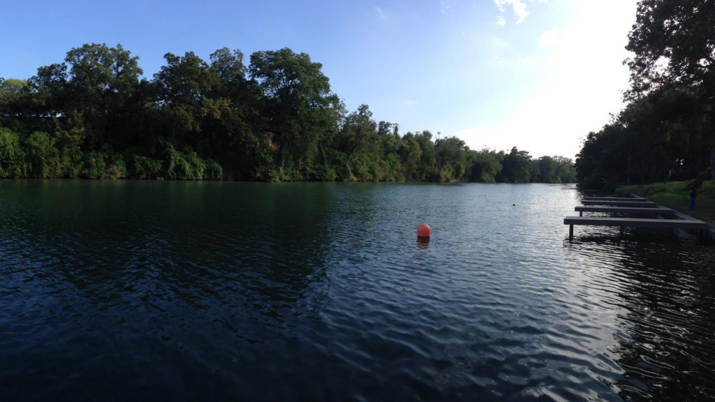 a body of water with trees and a buoy in it