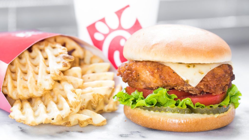 a chicken burger and fries