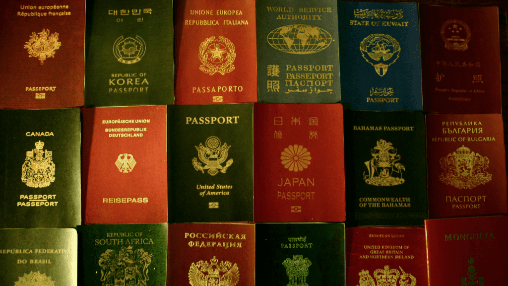 a group of different colored passports