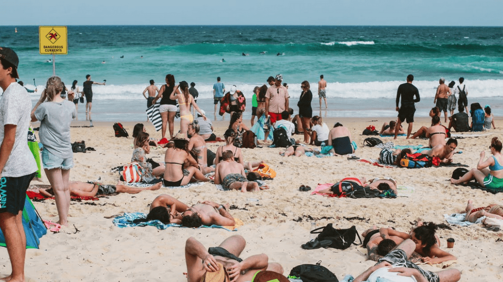 a group of people on a beach