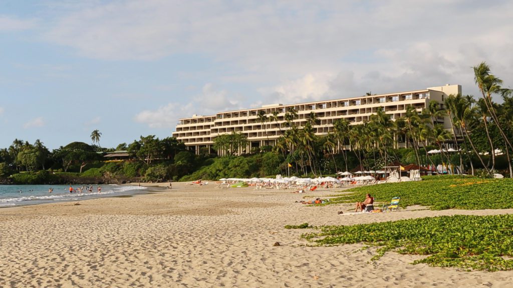 a beach with a building and palm trees