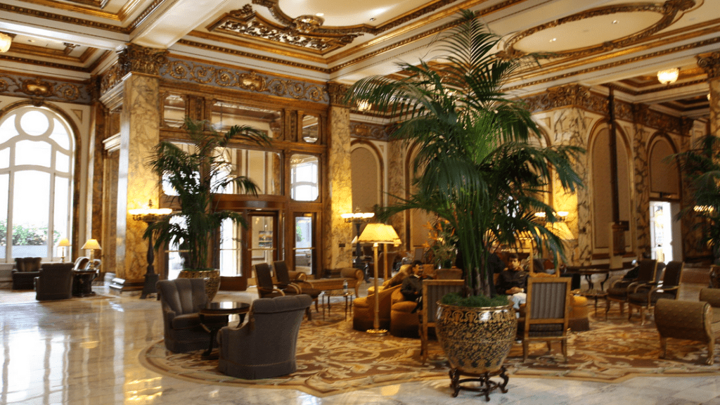 a large indoor plant in a hotel lobby