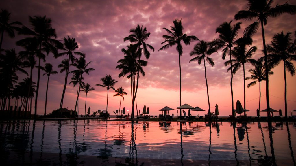 a pool with palm trees and umbrellas