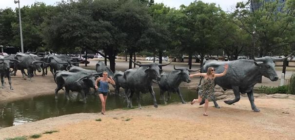 a group of people running through a pond with statues of cows