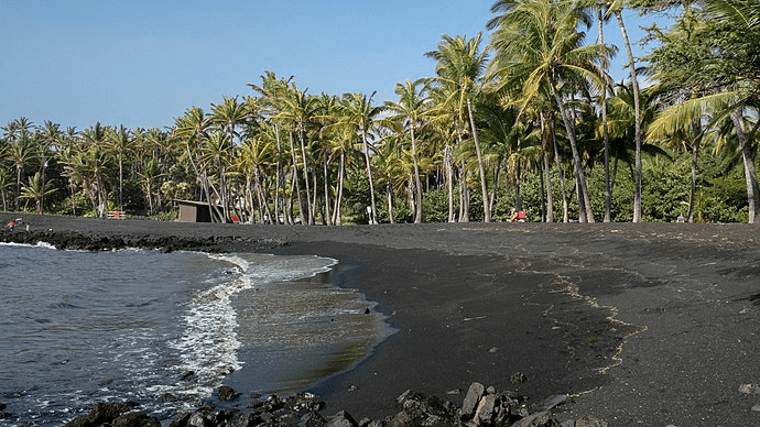 a black sand beach with palm trees