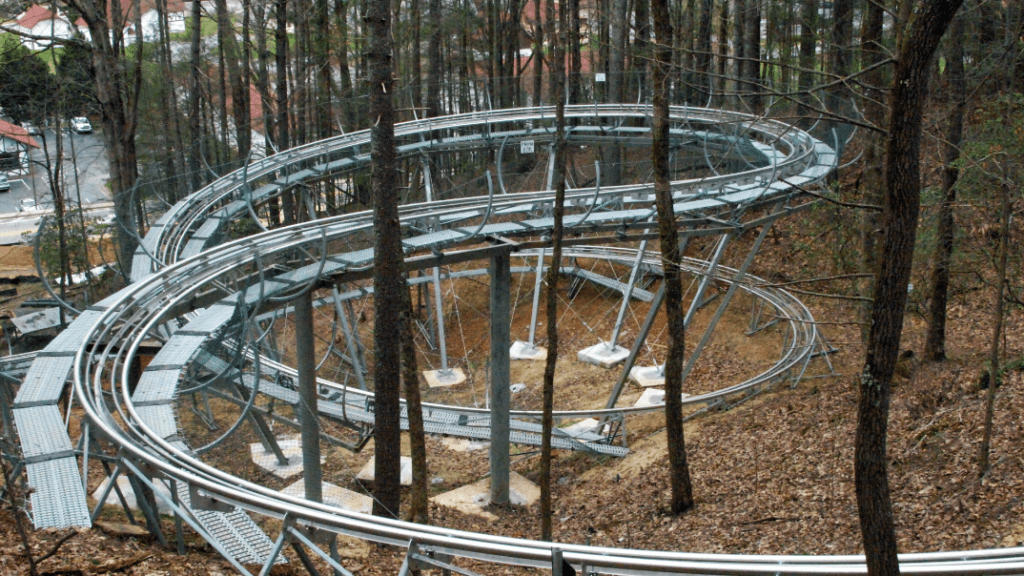 a roller coaster in the woods