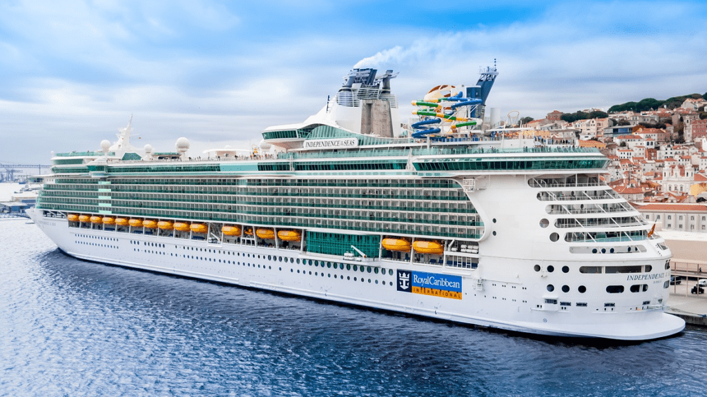 a cruise ship in the water