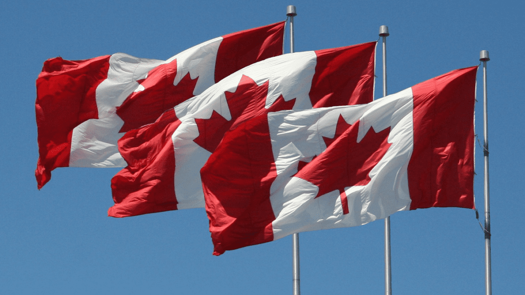 a group of flags waving in the wind