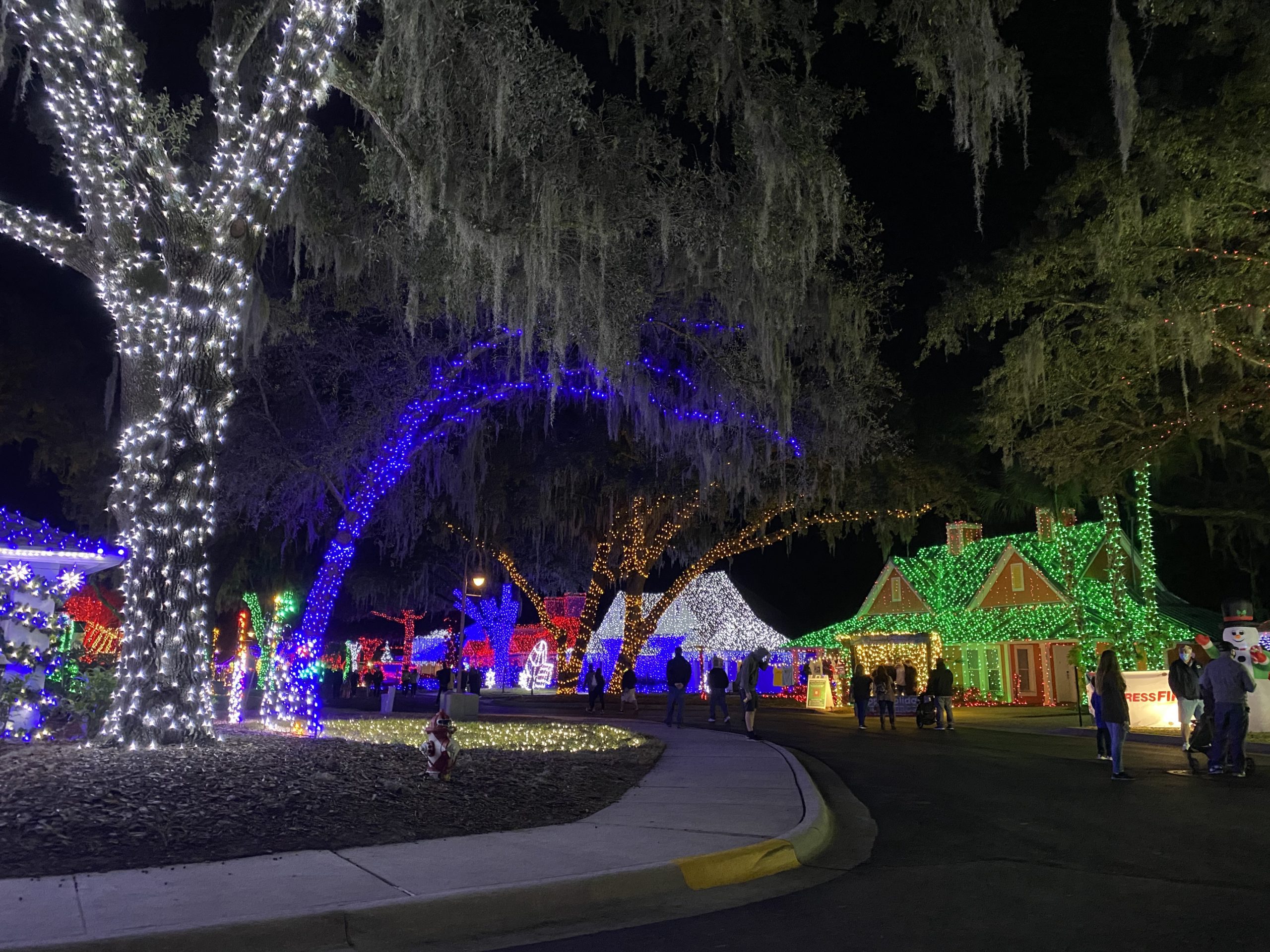 a group of houses with christmas lights