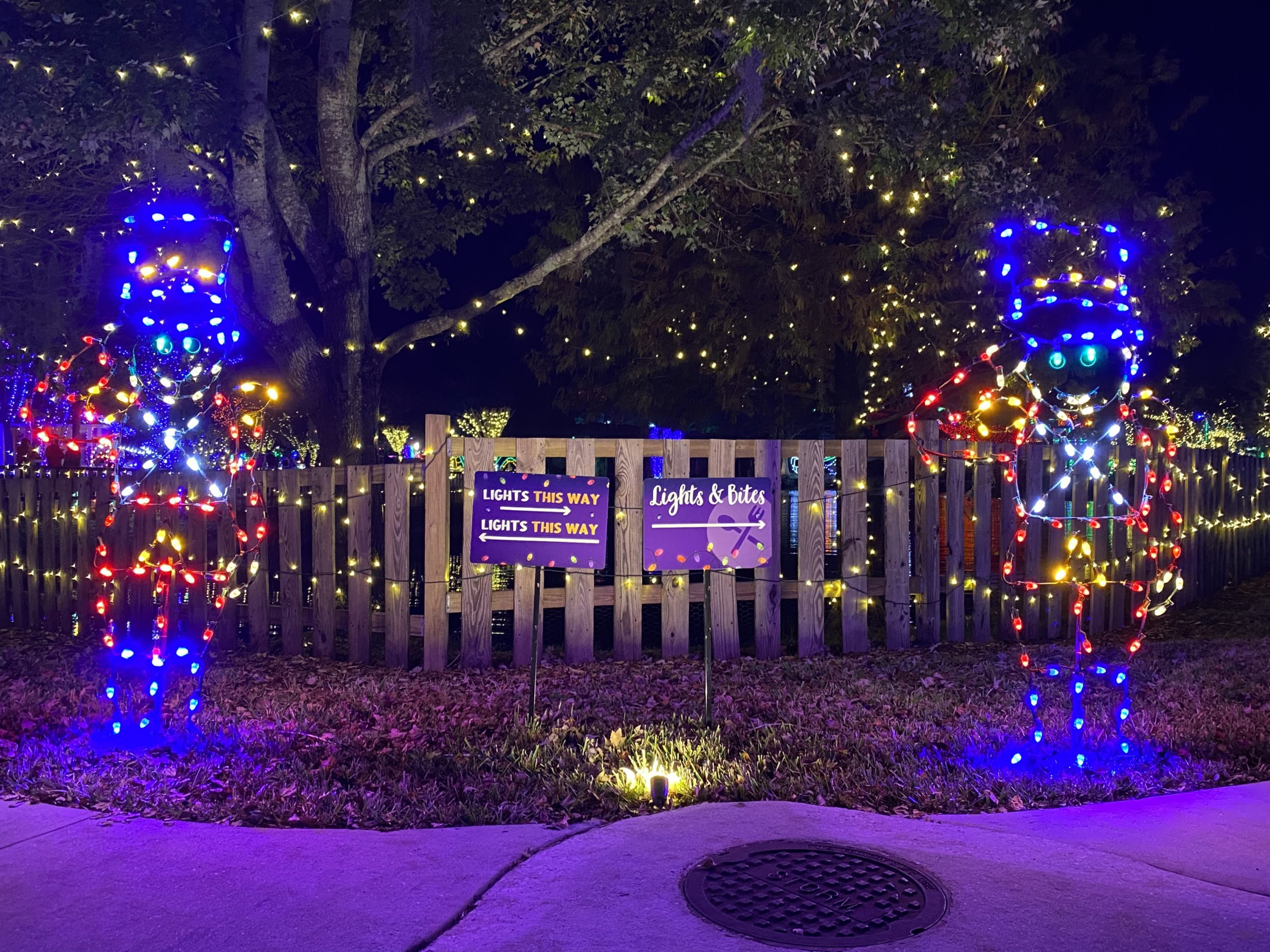 a fence with christmas lights on it