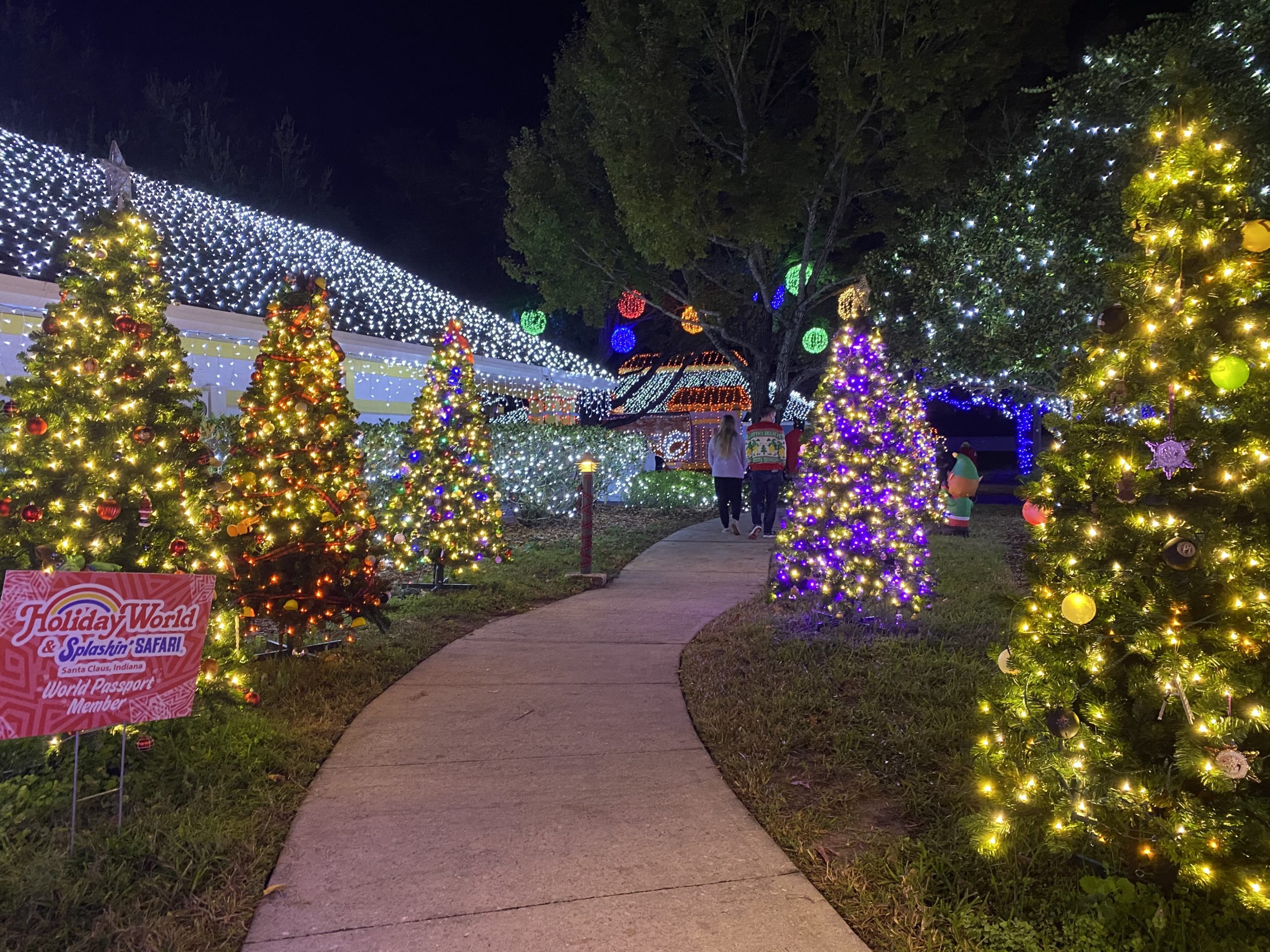 a walkway with christmas lights on it