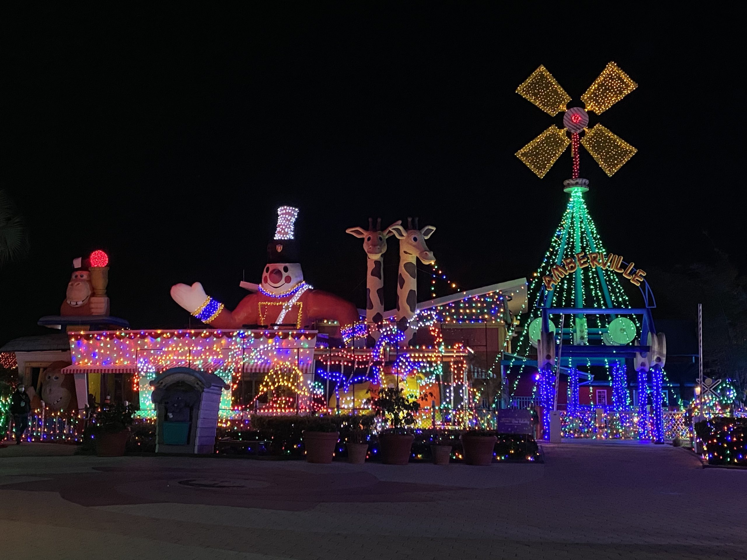 a house with christmas lights