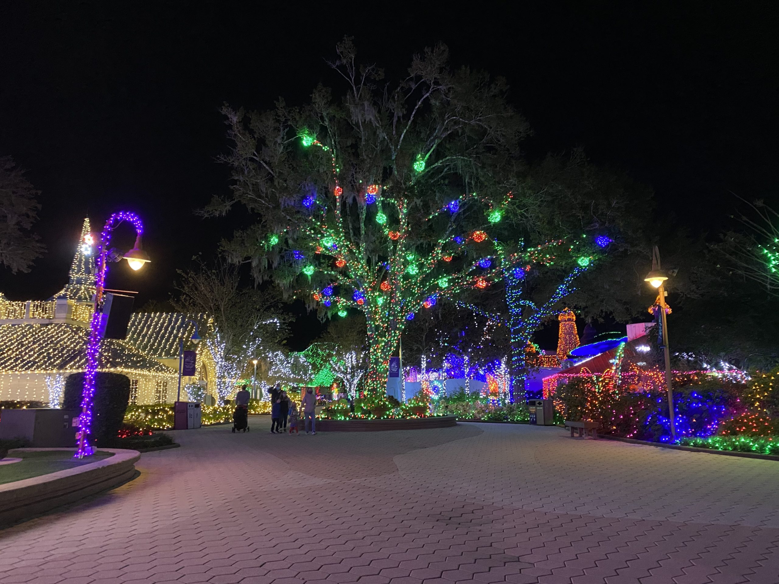 a tree with lights on it