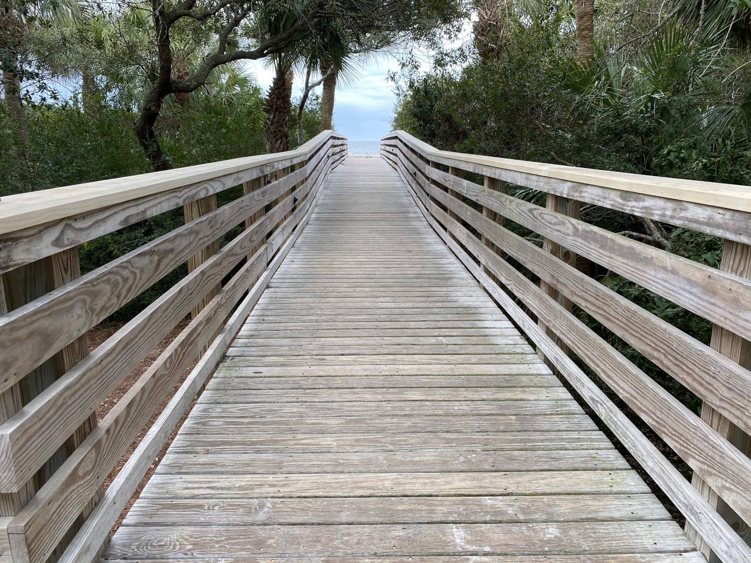 a wooden bridge with railings and trees