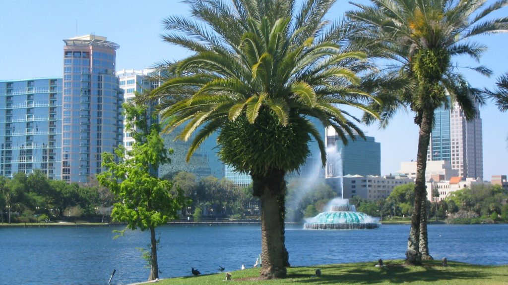 a palm tree in front of a water fountain