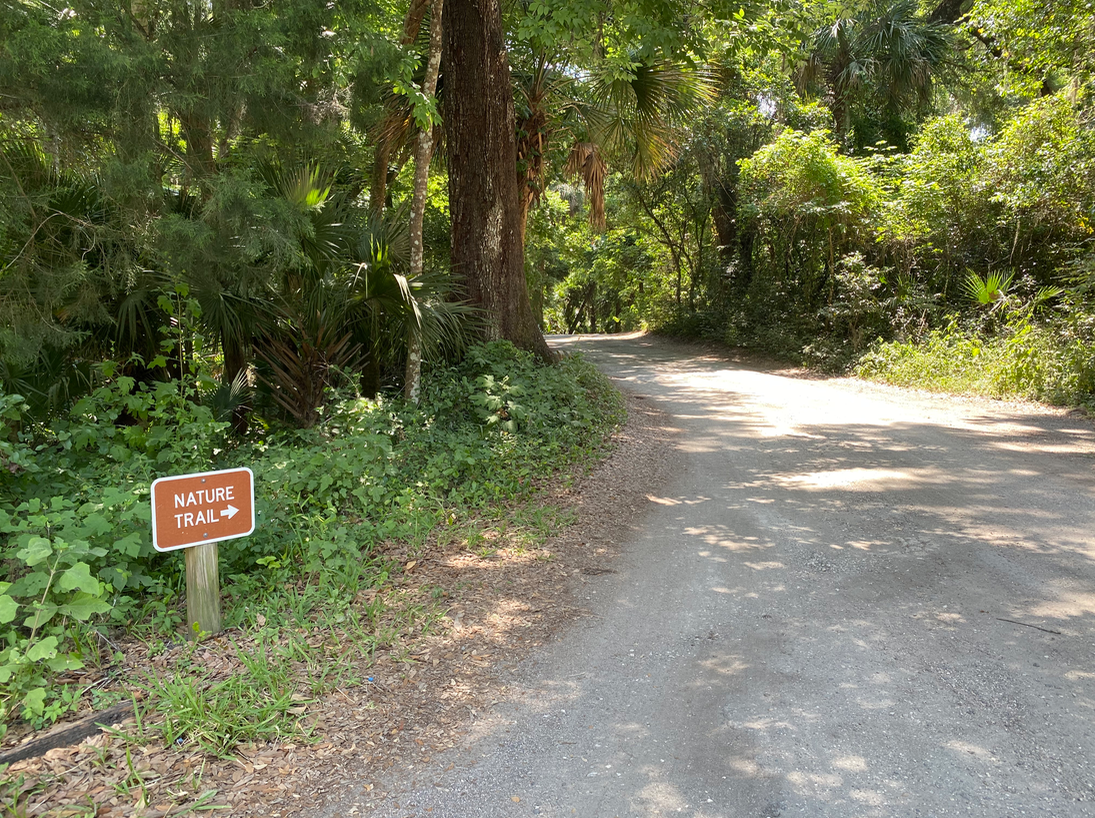 a sign on a road in the woods