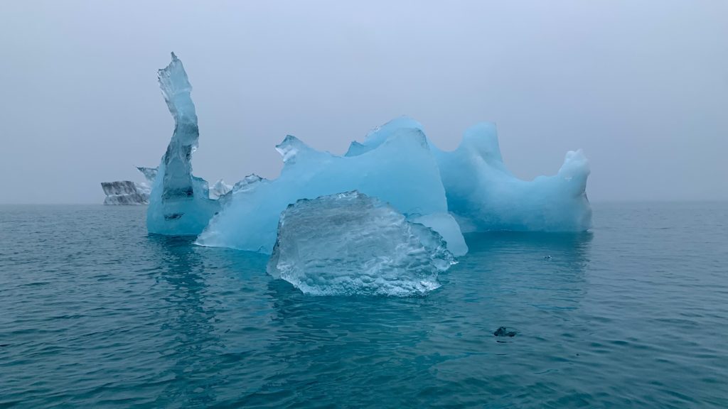 icebergs in the water