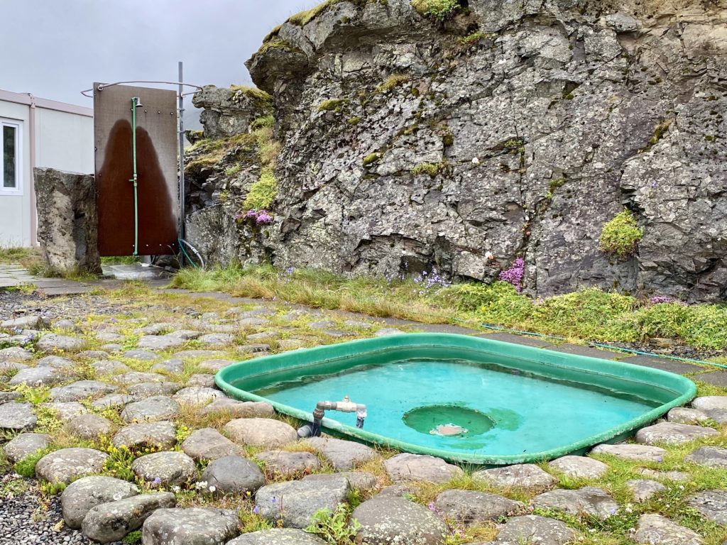 a green pool on a stone path next to a shower