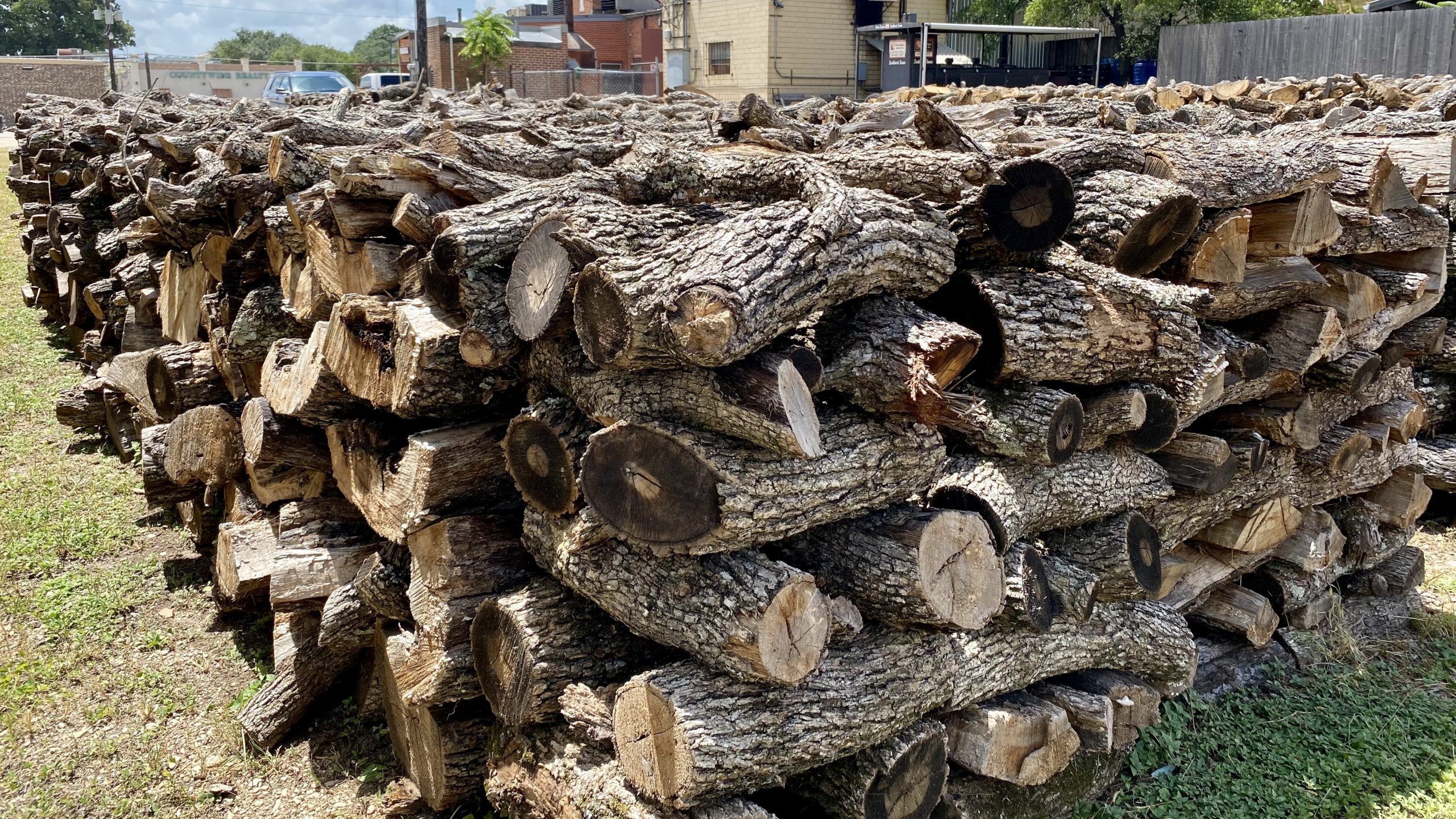 a large pile of cut logs