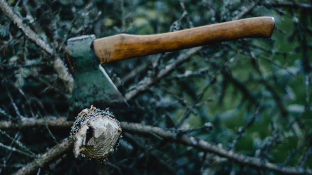 an axe stuck in a tree