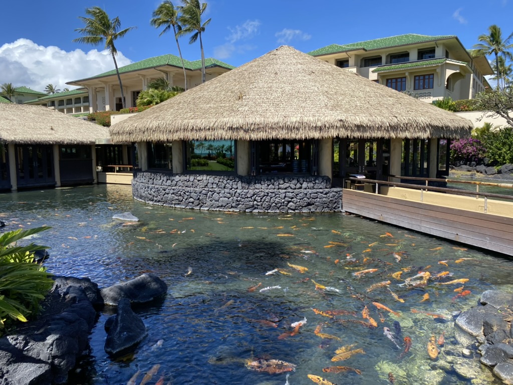 a building with a thatched roof and fish swimming in water