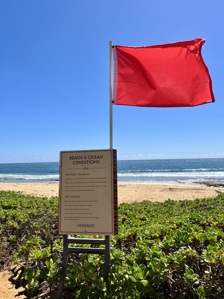 a red flag on a beach