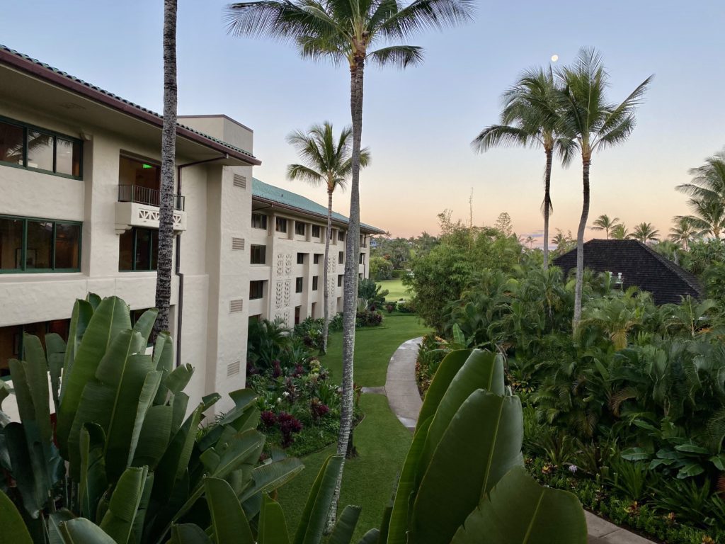 a building with palm trees and a walkway