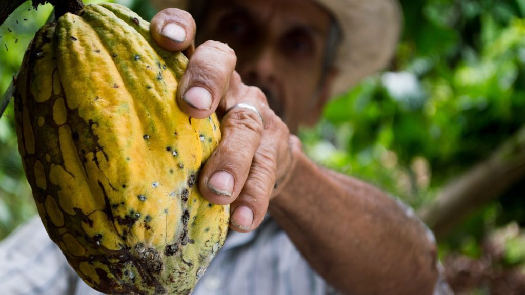 a man holding a fruit