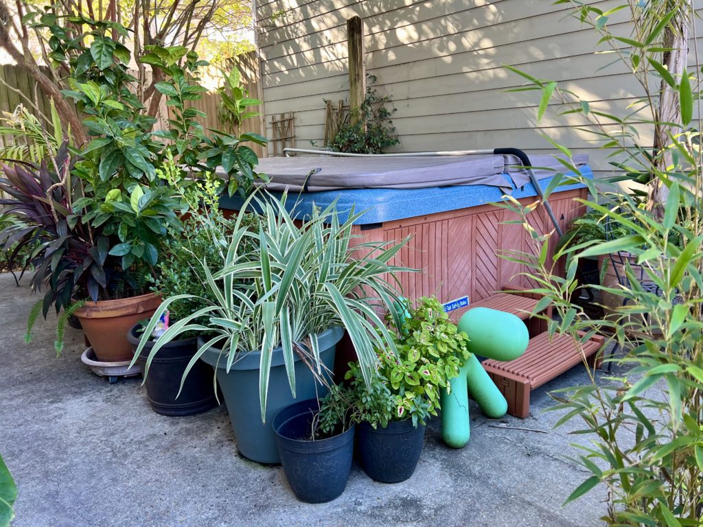 a hot tub with plants in pots