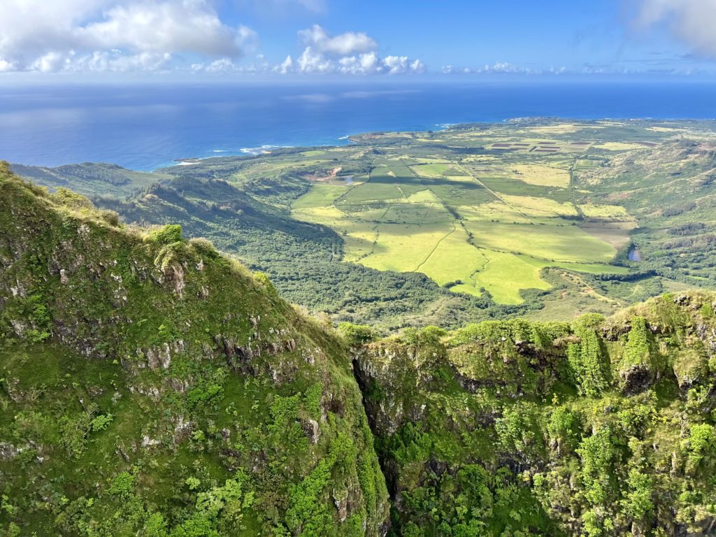 a view of a valley and the ocean from a mountain
