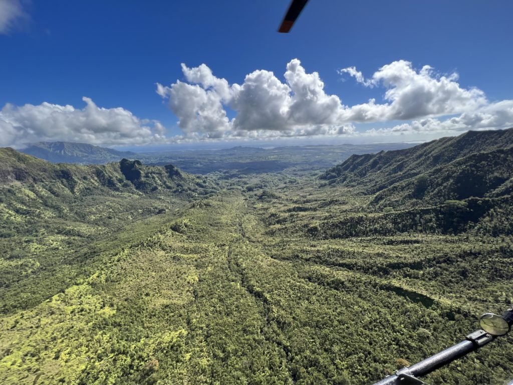 a view of a valley from a helicopter