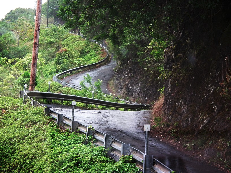 a curved road with trees on the side