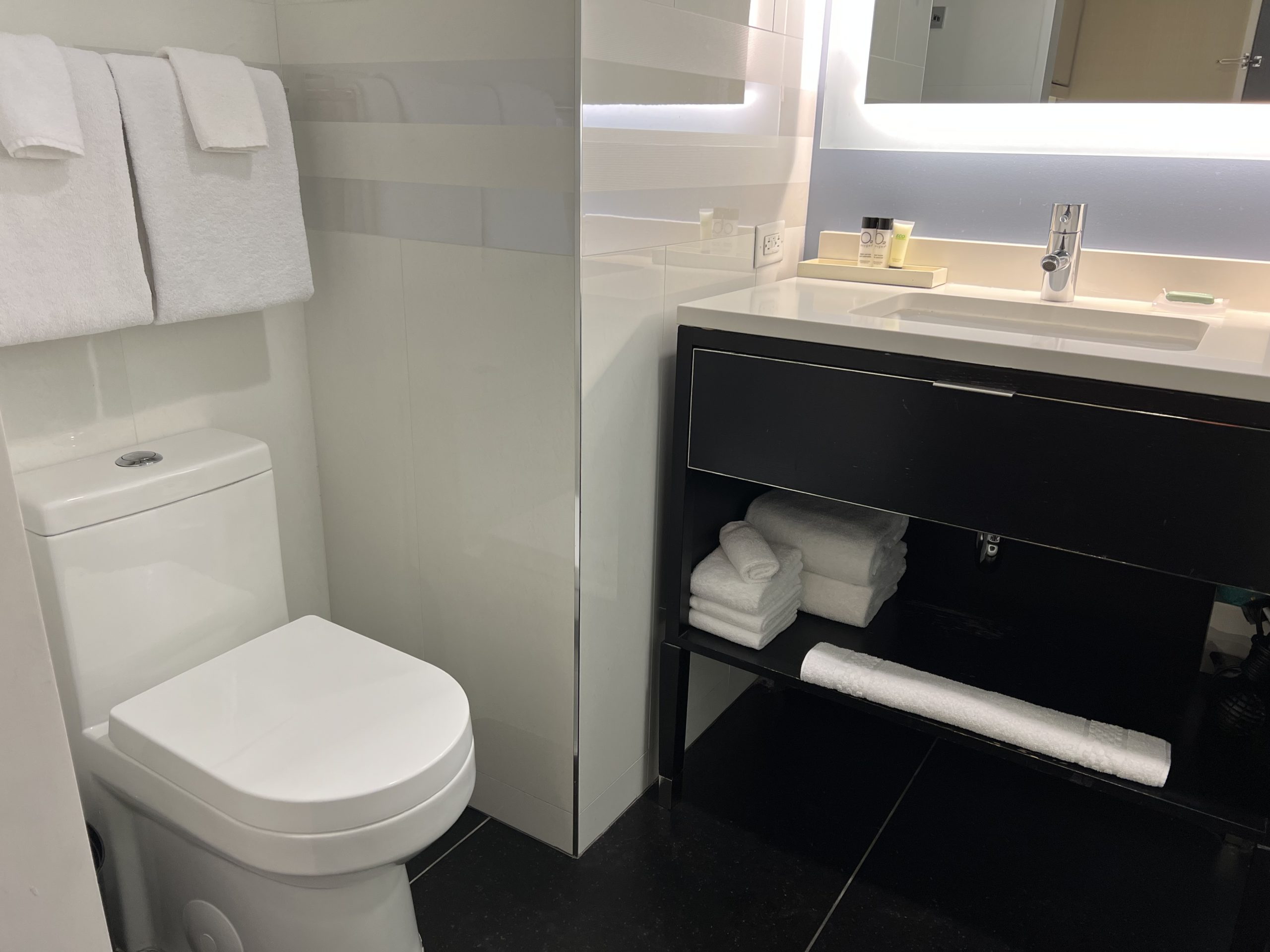 a bathroom with a sink and toilet