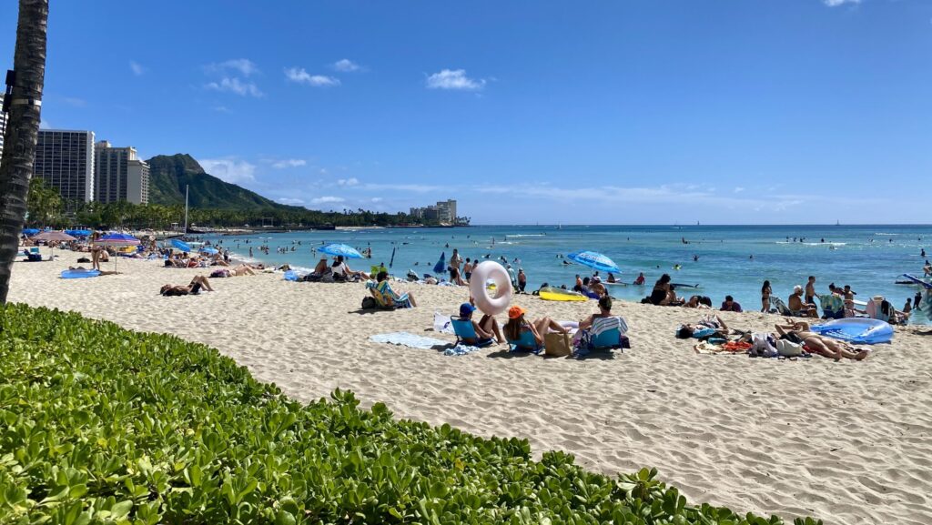 a beach with people on it