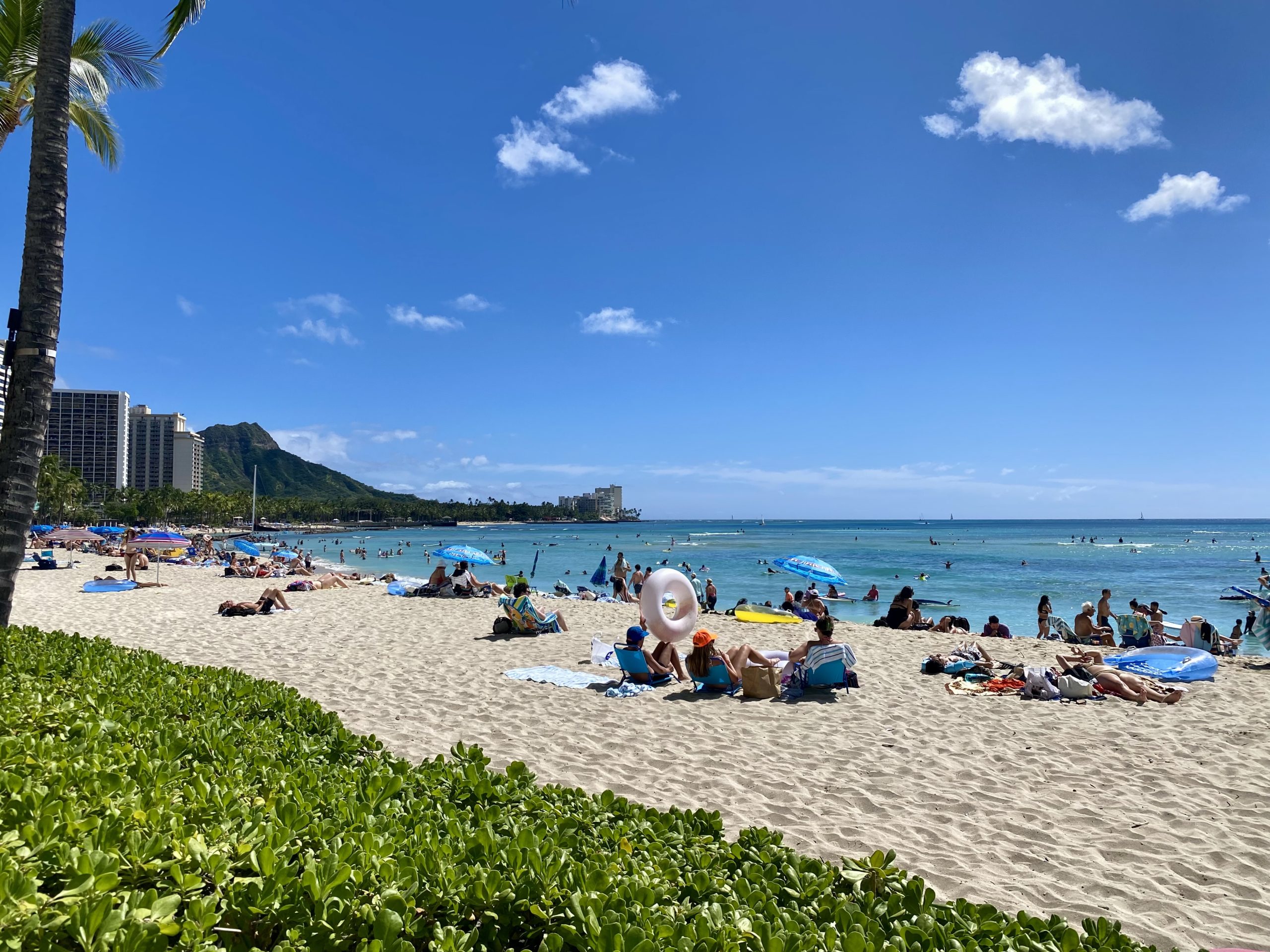 a beach with people on it