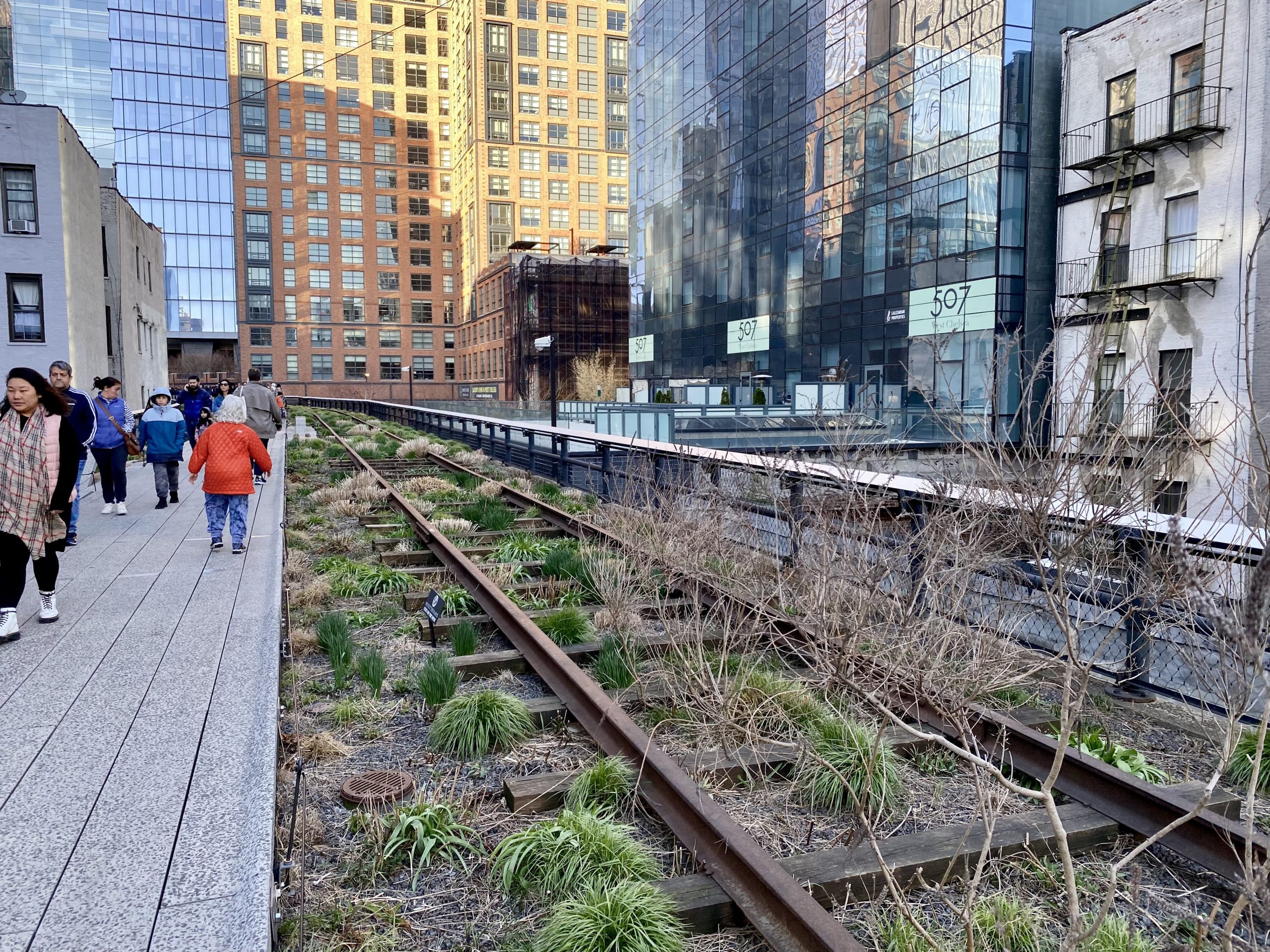 a train tracks with plants growing on it