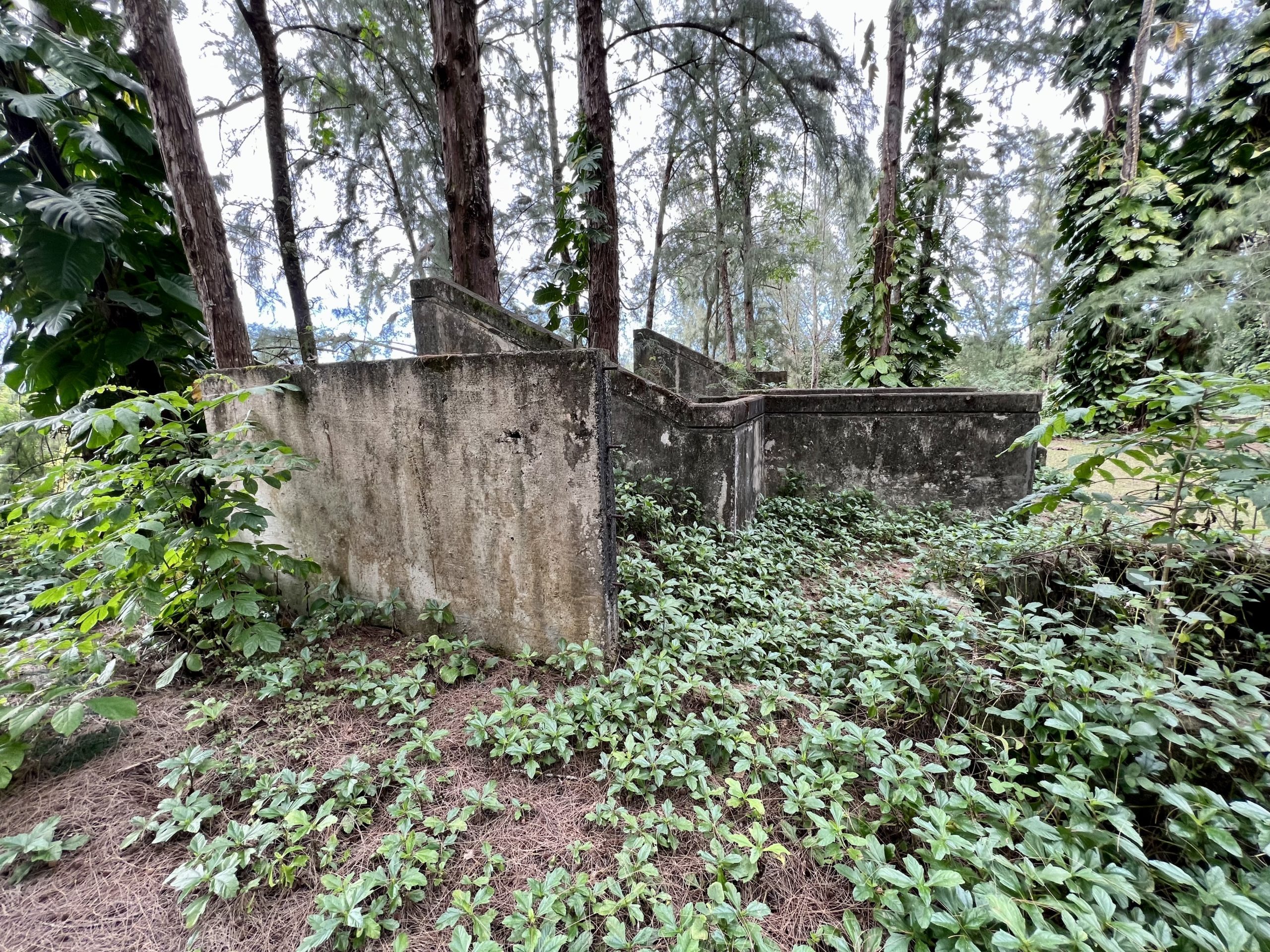 a concrete structure in the woods