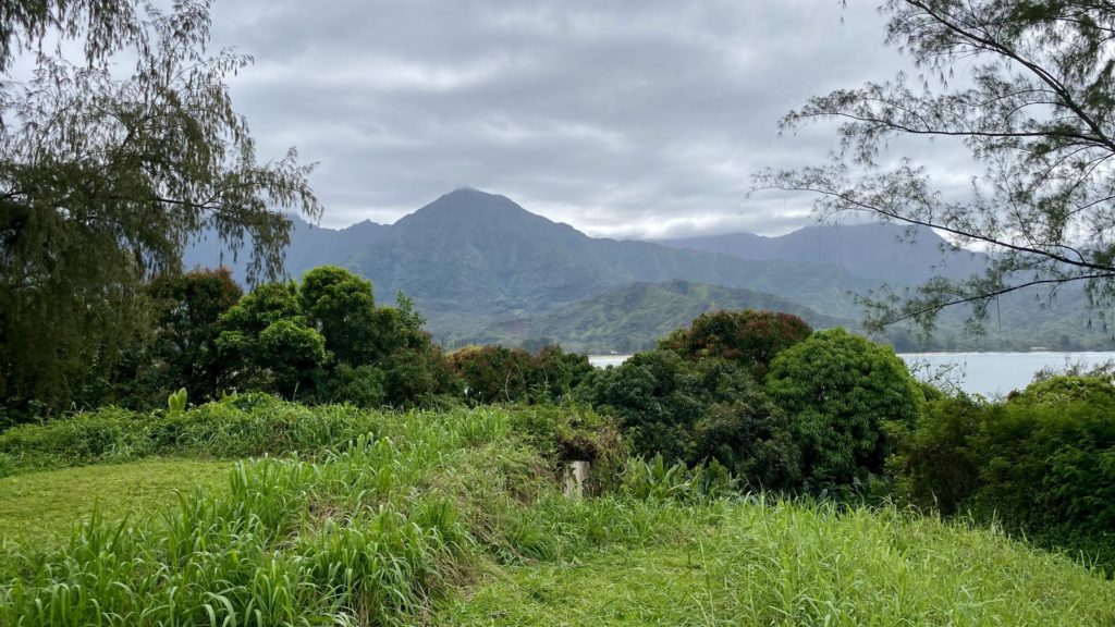 a grassy field with trees and mountains in the background