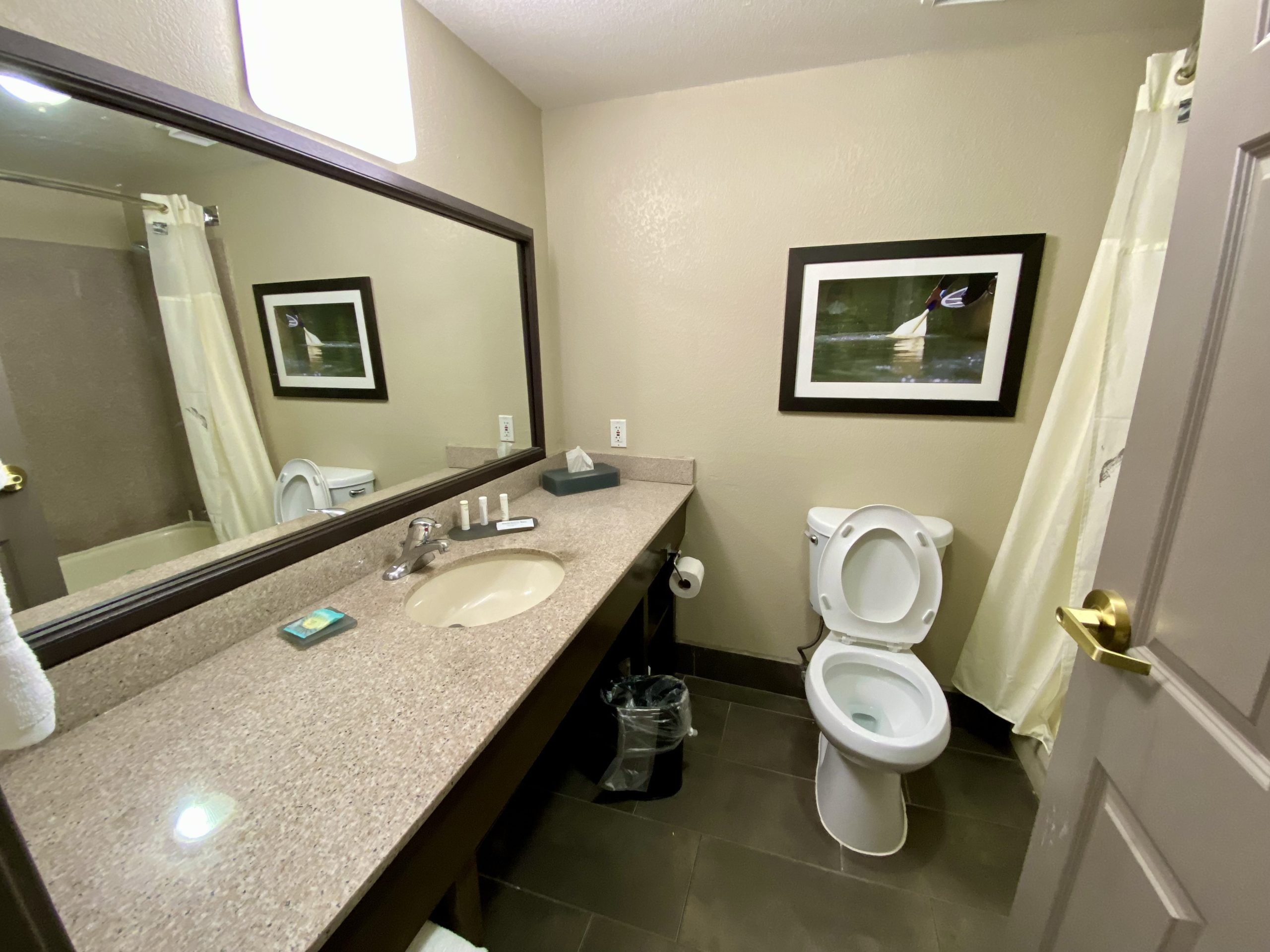 a bathroom with a sink and mirror