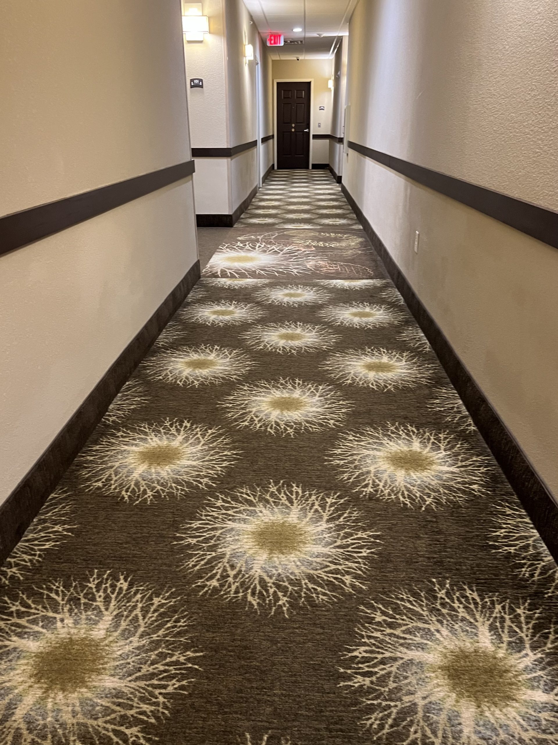 a long hallway with a carpeted floor