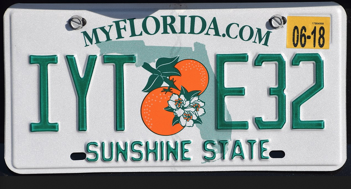 a license plate with oranges and flowers