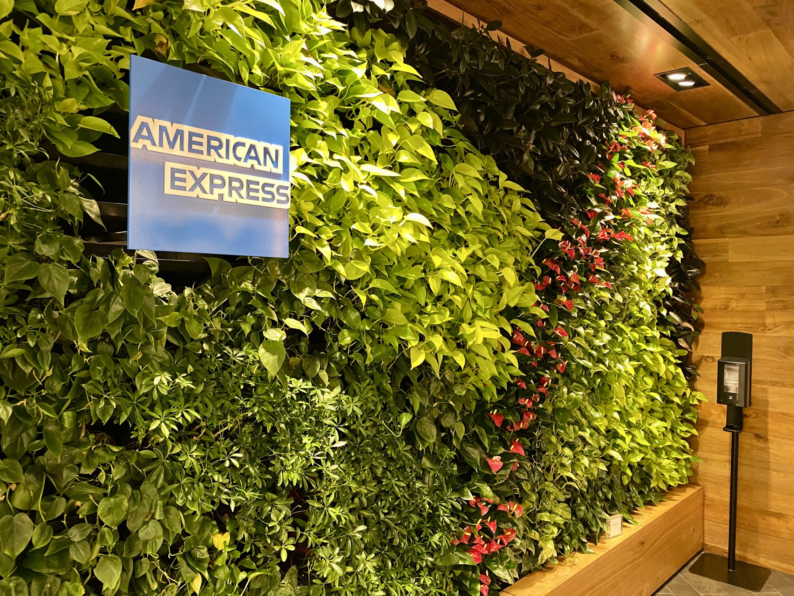 a wall of plants with a sign