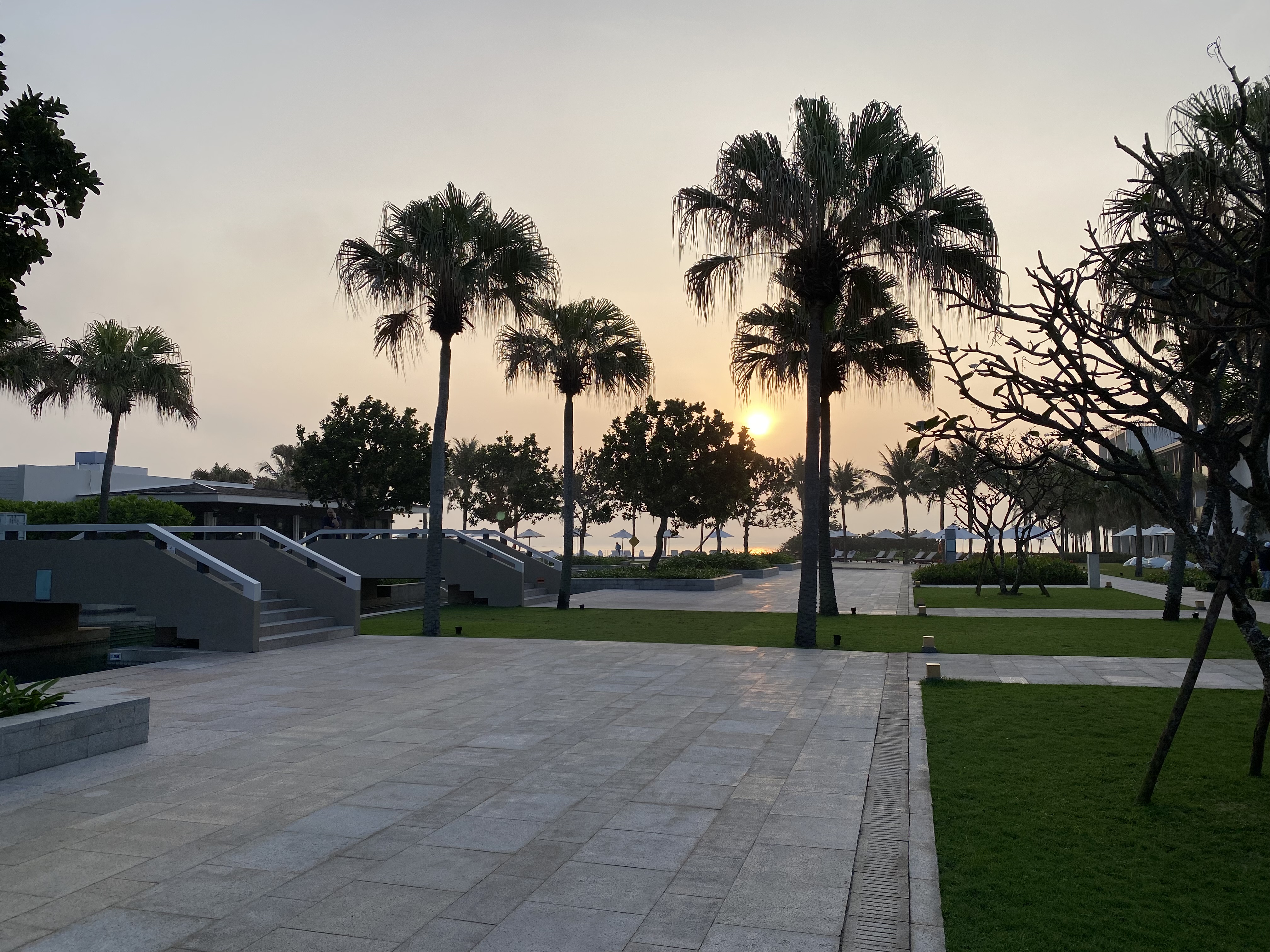 a walkway with palm trees and a sunset