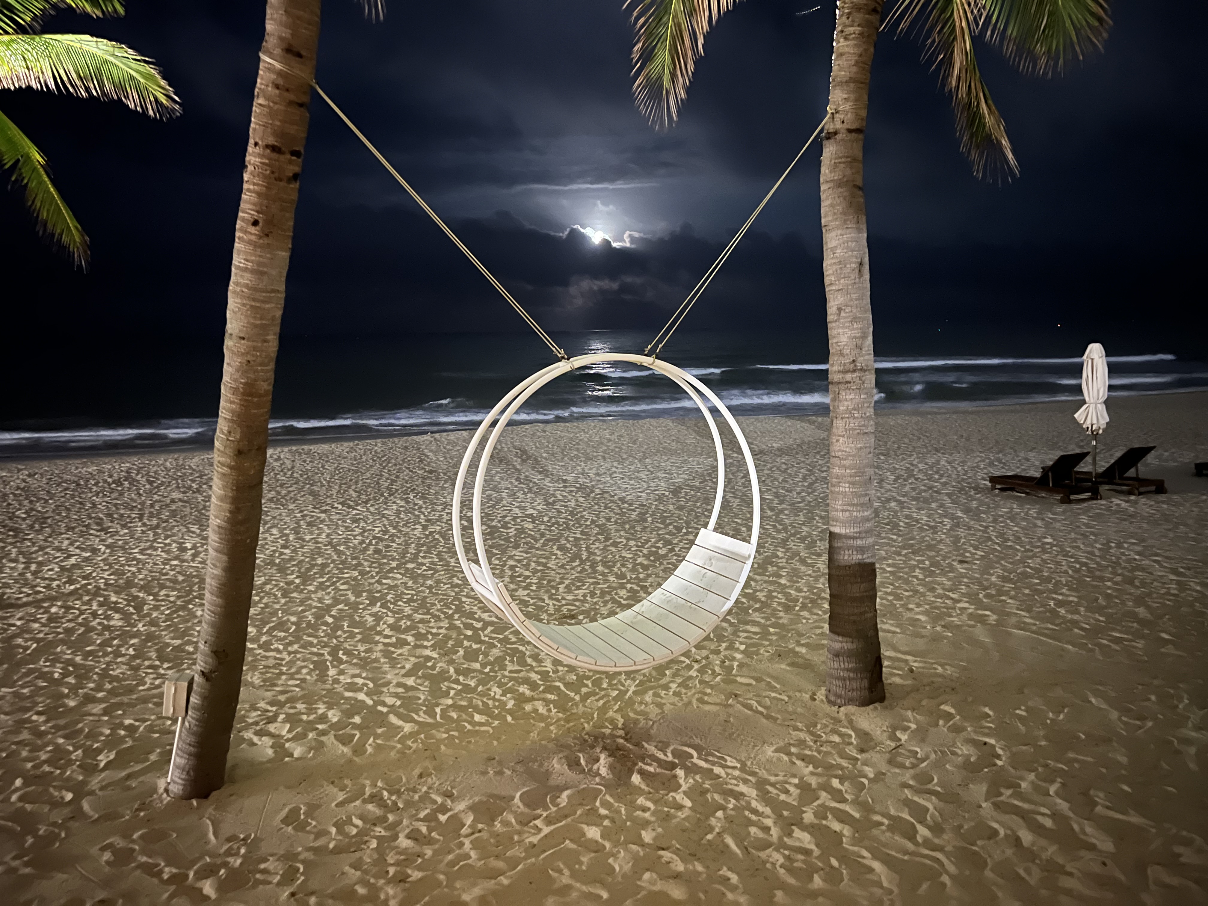 a swing from trees on a beach