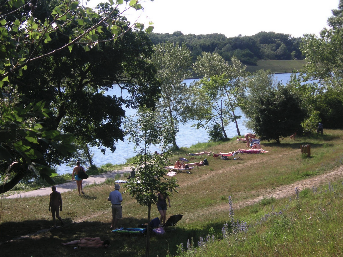 a group of people sunbathing on a grassy hill near a body of water