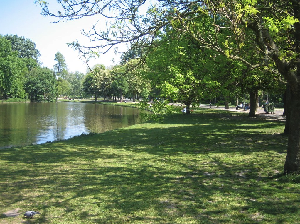 a lake with trees and grass